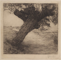 KG 09301
          <br/>
          Wilg aan een sloot
          <br/>
          <em>Gabriëlse, Johannes (1881-1945)</em>